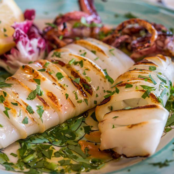Grilled calamari