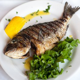 Snapper